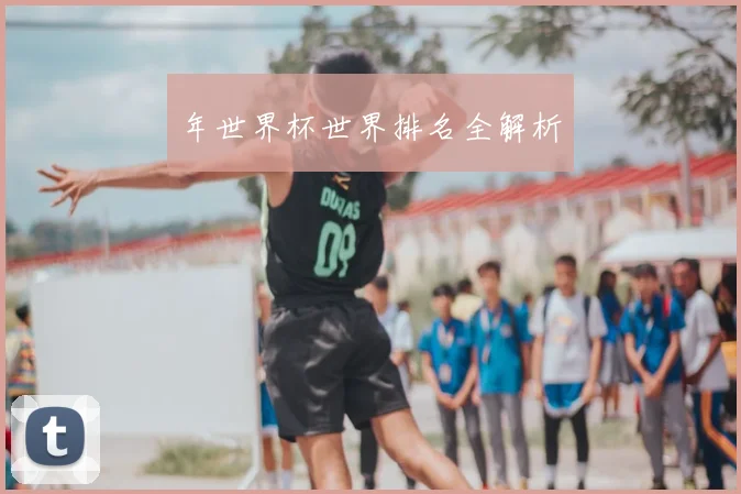 年世界杯世界排名全解析